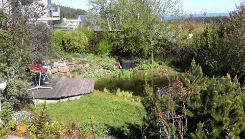 Ferienwohnung Sonnenblick - Foto 3