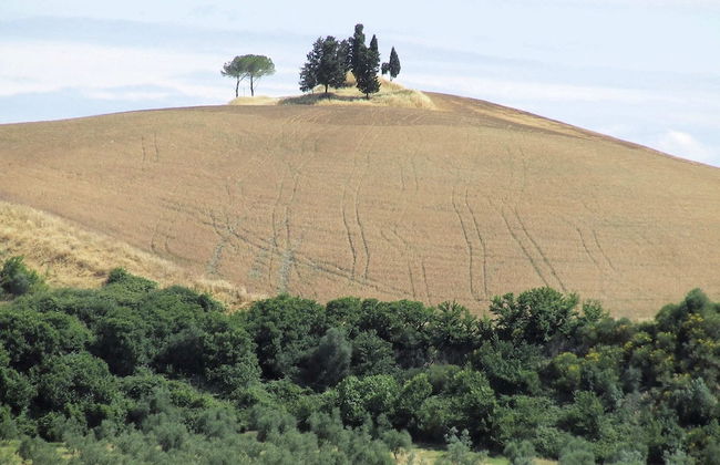 Peaceful Apartment, Ghizzano - Foto 33