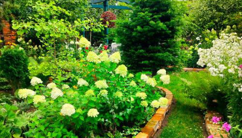 Miętowy domek - Foto 2, Garden