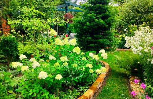 Miętowy domek - Foto 2