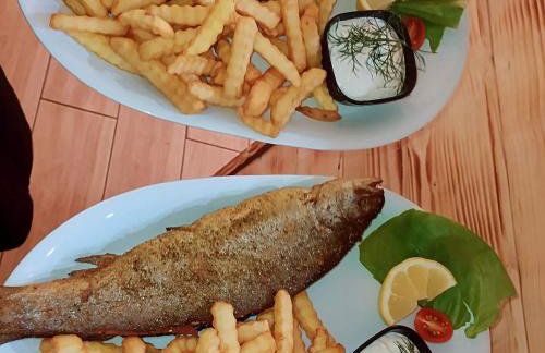 Bieszczadzka Chatka Gosia - Off Road , Quady , Jazda Konna - Foto 26