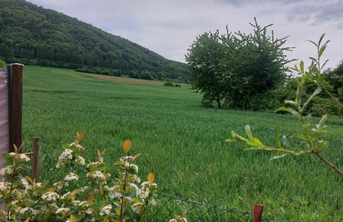 Ferienwohnung Rudat - Foto 19
