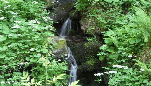 Quellenhof Kollnburg - Foto 5