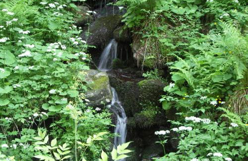 Quellenhof Kollnburg - Foto 5