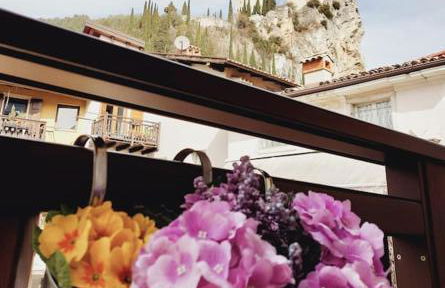 Arco Felix - Foto 39