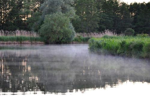 Am Ufersteig-I - Foto 23