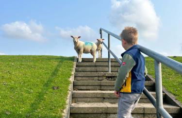 Kalle´s Reethus - Foto 20