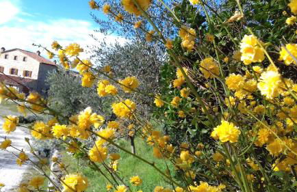 Agriturismo Valiana - Foto 36