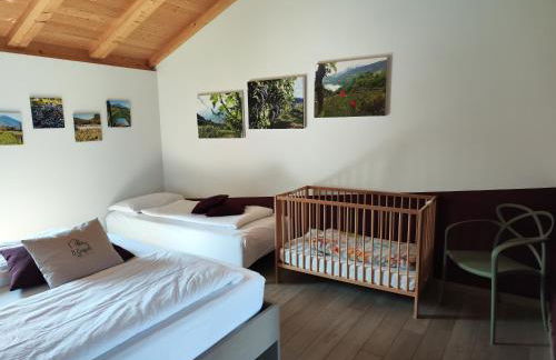 8 Grappoli Agritur - Foto 71