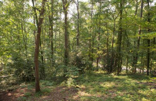 Alabama University Events, 5 bdrm Home with Lake Access, Community Pool, Tennis, Pavilion, sleeps 14, 5 mil to Bryant-Denny Stadium - Foto 51