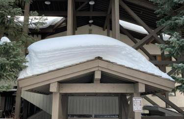 Jackson Hole Ski Condo Yellowstone Grand Teton - Foto 30