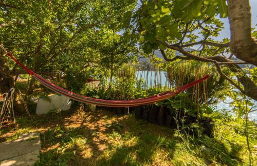 Apartments Barbir - Foto 18