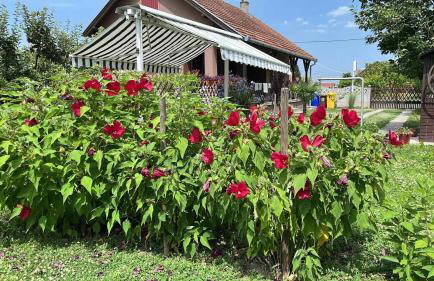 Turul -Kuća za odmor- - Foto 11