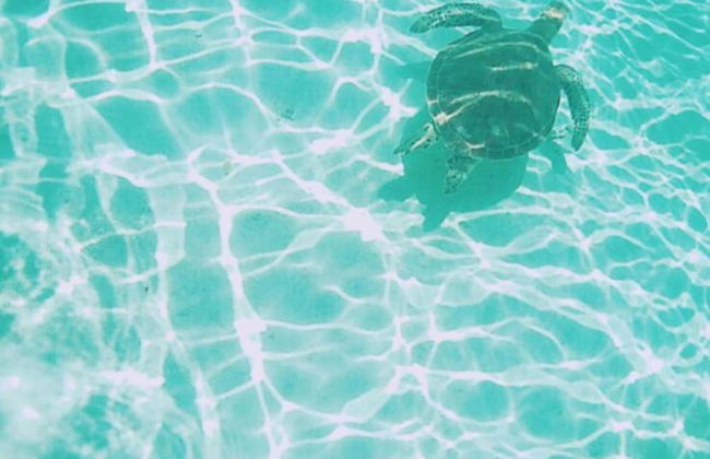 Thalassa Beach and Pool Villa - Foto 48