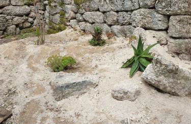 Cantinho da Pereira - Foto 18