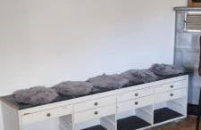 Ferienwohnung am Kirchberg Europa-Park Spassbad-Rulantica-Schwarzwald ,Frankreich, - Foto 19