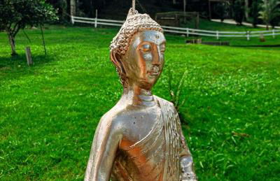 Cabana Recanto da Araucária - Foto 13