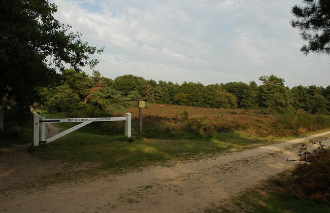Attractive Bungalow with Covered Terrace near Veluwe - Photo 41