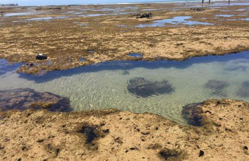 Village Bella Lunna 08 - 1 Qto - Guarajuba - Foto 33