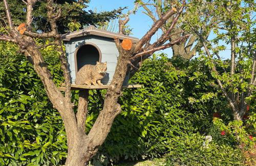 I gatti e la Volpe B&B - Photo 25