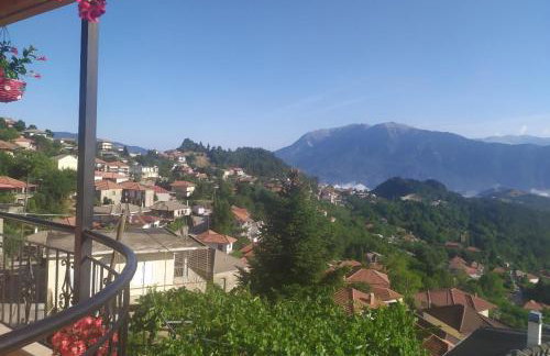 Dora's Home - Photo 12