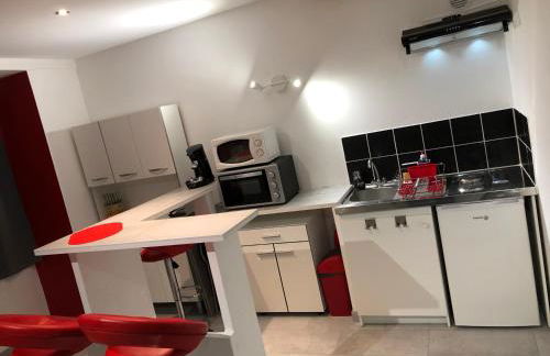 Appartement T1 bis Spacieux Chaleureux proche CNPE Centre Ville - Foto 2