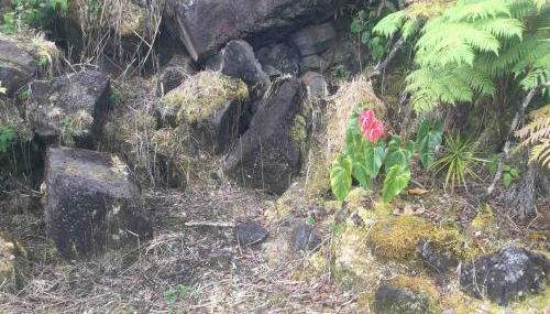 Simply convenient tropical country studio - Foto 3