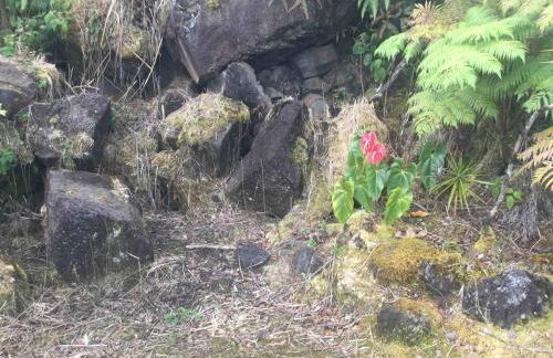 Simply convenient tropical country studio - Foto 3