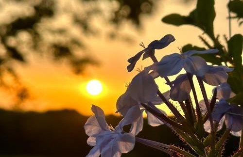 Chambre en pierre - Foto 75