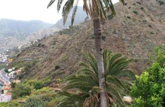 Vivienda Vacacional Cuenca de Liria - Foto 18