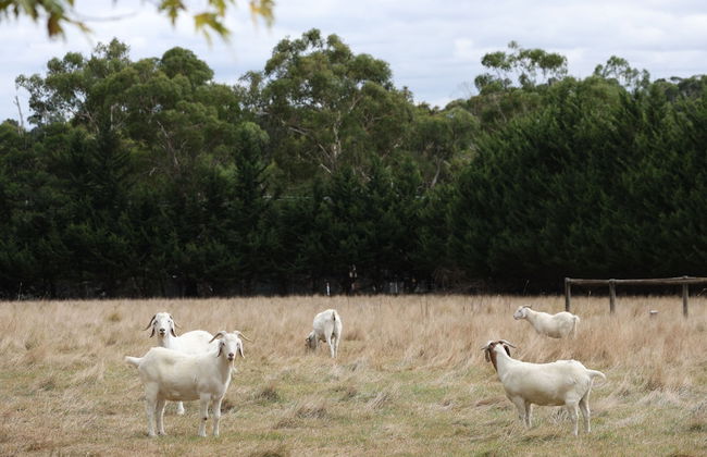StayAU Lakeview Cottage 2BR Cozy Nature - Foto 25