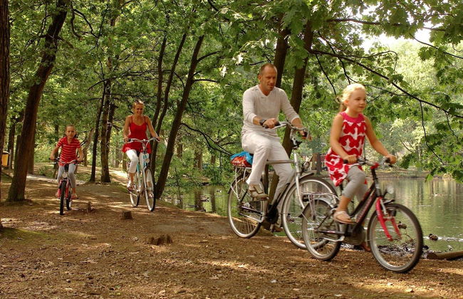 Chalet in Eindhoven Near Bospark 't Wolfsven - Foto 21