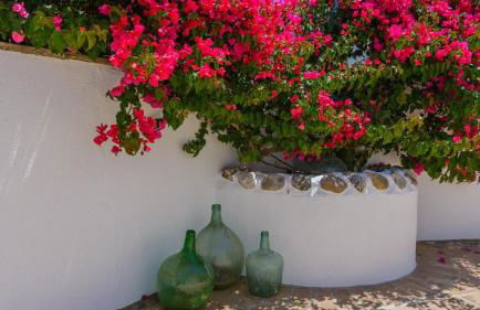 Casa de Juanito Viñuela by Ruralidays - Foto 27