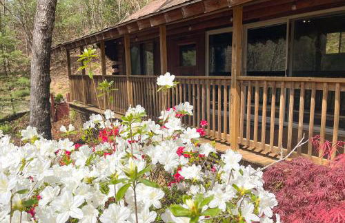 The Mountain Perch - Foto 21