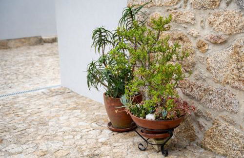 Casa Valverde - Vale de Cambra - Foto 19