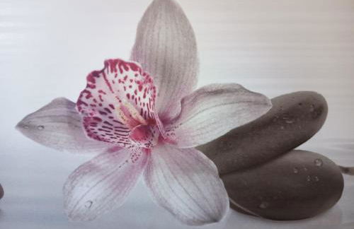 Spacieux Chalet en Bois Massif au coeur du Finistère - Foto 44