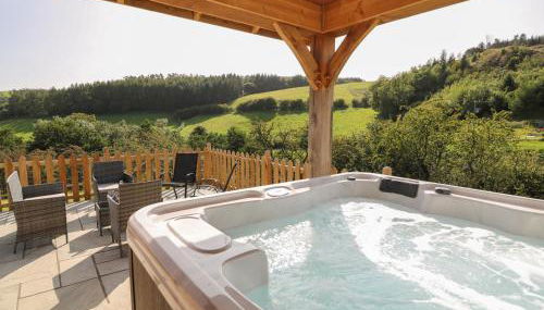 Ploony Hill Cabin - Photo 3