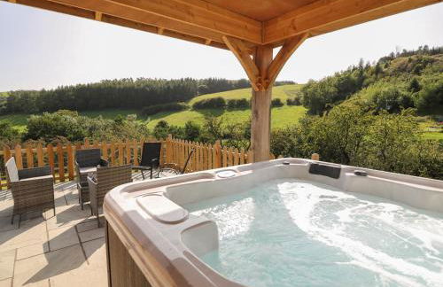 Ploony Hill Cabin - Foto 3