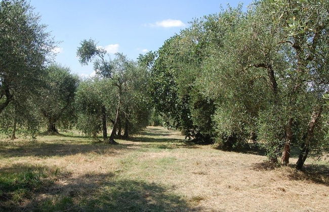 Bio Agriturismo La Spiga D'oro - Photo 35