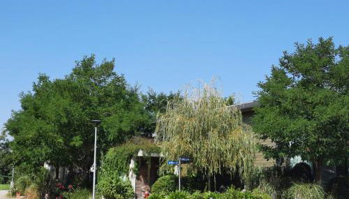 Glashus-Moos Kajüte - Foto 4