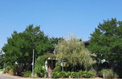 Glashus-Moos Kajüte - Foto 4