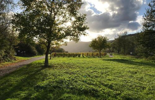 Mosel-Auszeit - Foto 21