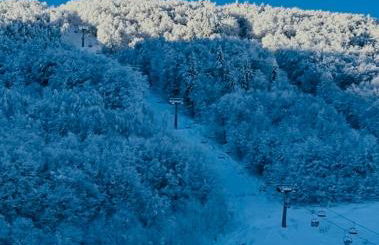 Studio Piccola Renna - Foto 58