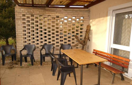 Weisses Huhn von Moschendorf - Photo 30