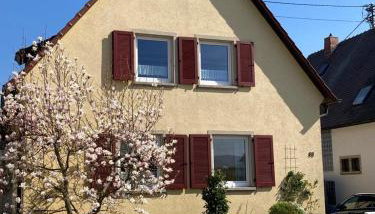 Terrassenwohnung - Foto 2