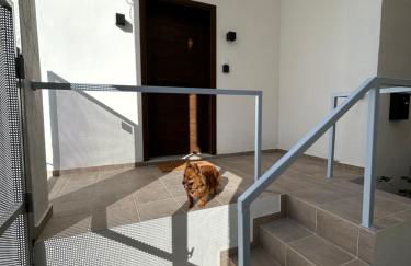 Stella's Petite Boîte - Foto 19