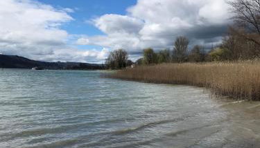 Gemütliche grosse 2 Zimmer Wohnung mit grosser Terasse in Seenähe, Höristrasse 8 in 78343 Gaienhofen - Foto 5