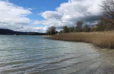 Gemütliche grosse 2 Zimmer Wohnung mit grosser Terasse in Seenähe, Höristrasse 8 in 78343 Gaienhofen - Foto 5