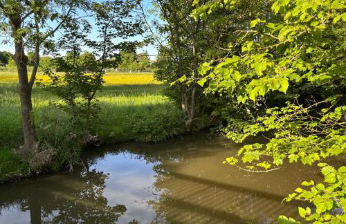 Licht+Luft, Wohnen auf Zeit - Foto 30
