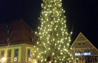 Haus Am Stadtschloss FeWo 3 Zimmer Küche Bad - Foto 40